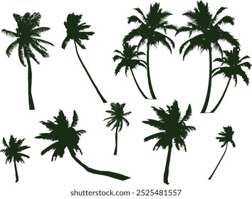 A set of coconut tree silhouettes featuring various designs and styles. Ideal for tropical-themed projects, travel illustrations, or nature-inspired designs, adding an exotic and relaxing vibe.