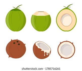 Set of Coconut Vector Design. Flat Design Illustration.