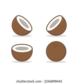 set of coconut vector flat design collection. flat style coconut design icon