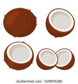 Set of coconut. Vector illustration