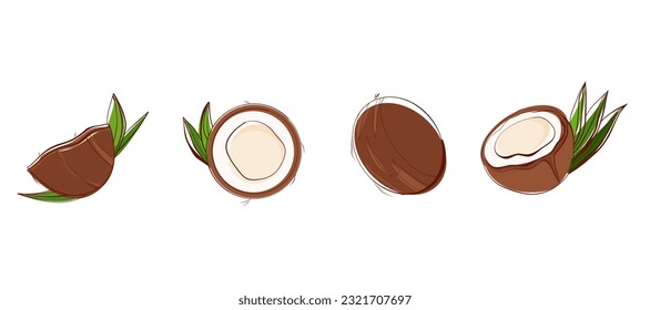 Set of coconut. Whole and half cracked broken coco nut with green palm leaves, isolated on white background.Card, banner, poster, sticker, print, advertising material. Vector illustration.
