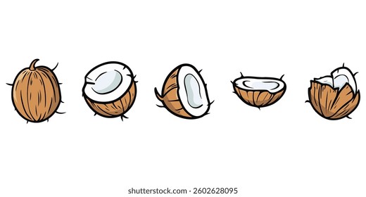 Set of Coconuts with Different Shapes and Cuts, Vector Illustration
