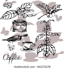 Set with coffee, coffee bag, cup and coffee beans and leaves. Hand drawn illustration in sketch style. Ink vector illustration.