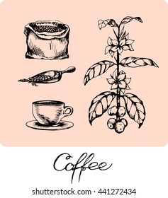 Set with coffee, coffee bag, cup and coffee beans and leaves. Hand drawn illustration in sketch style. Ink vector illustration.