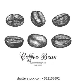 Set of coffee bean. Hand drawn collection by ink and pen sketch. Isolated vector elements can use for coffee products and health care goods packaging.