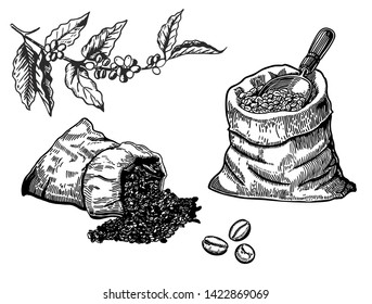 Set of coffee beans in bag in graphic style hand-drawn vector illustration. 