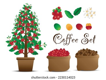 Set of coffee beans and berries with leaves,coffee plant pot Vector stock illustration
