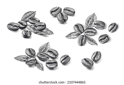 set coffee beans Hand drawing sketch engraving illustration style