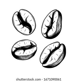 conjunto de granos de café, estilo de tinta, ilustración vectorial dibujada a mano estilo gráfico. 