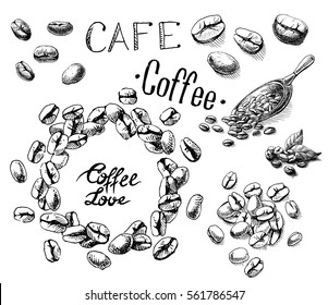 set of coffee beans, leaves and scoop in graphic style