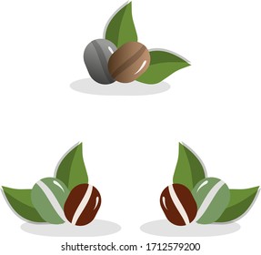 
Set of coffee beans on a white background.
