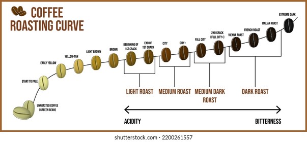 Set Coffee Beans Transforming White Black Stock Vector (Royalty Free ...