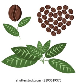 A set of coffee beans,leaves,grains laid out in the form of a heart on a white background.The vector set can be used in coffee shops,for coffee packages,textiles.