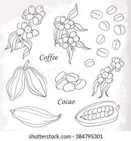 Set of coffee and cocoa elements doodle style. Vector  illustration for your design