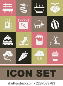 Set Coffee cup to go, Bare tree, Watermelon, Bowl hot soup, Calendar with autumn leaves, Cup tea tea bag, Bench and Hedgehog icon. Vector