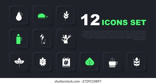 Set taza de café, trigo, cometa, hoja, recipiente termo, erizo y calendario con el icono de hojas de otoño. Vector