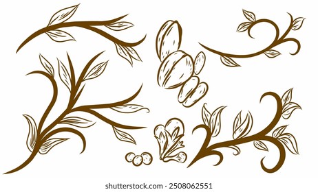 set of coffee icons, brown coffee tree vector illustration hand drawn