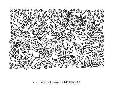 set of coffee tree branches with flowers, leaves and beans. Botany drawing, Line art design.