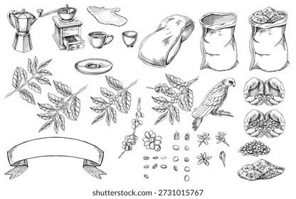 Eine Reihe von Elementen zum Thema Kaffee. Realistische Vektorgrafiken für Projekte, Coffeeshopmenüs, Verpackungen, Branding, Stoffdruck und Innenausstattung