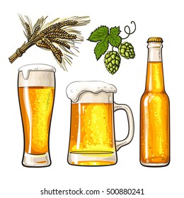 Set of cold beer bottle, mug and glass, malt and hop, sketch vector illustrations isolated on white background. Hand drawn beer glass, mug and bottle, branch of hops and ears of barley, Oktoberfest