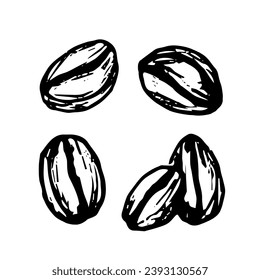 Set colection of different coffe beans, simple doodle white and black illustration.