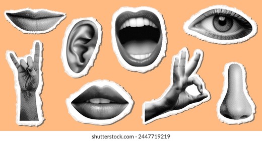 set of collage elements with body parts collection with eye hand showing ok sign nose ear smiling mouth lips retro halftone dotted texture torn paper shapes isolated on trendy peach background