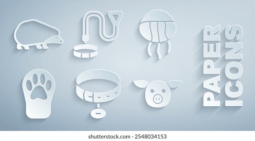 Set Collar with name tag, Jellyfish, Paw print, Pig,  and Hedgehog icon. Vector