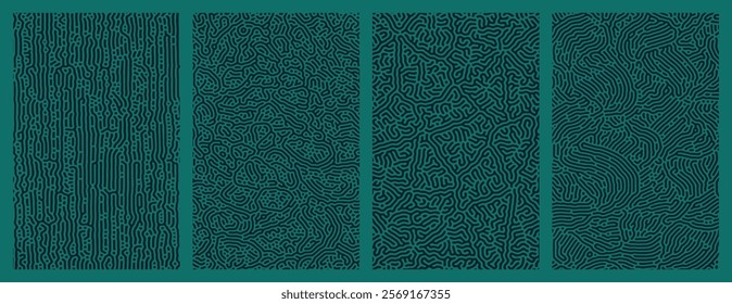 A set collection of abstract organic line turing patterns perfect for backgrounds
