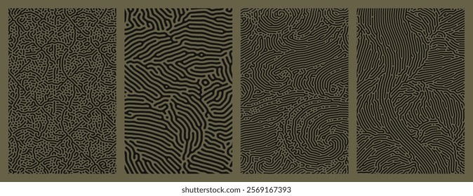 A set collection of abstract organic line turing patterns perfect for backgrounds