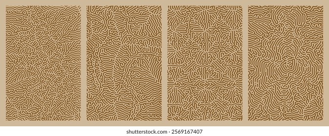 A set collection of abstract organic line turing patterns perfect for backgrounds