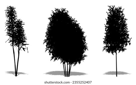 Colección de árboles de bambú como silueta negra sobre fondo blanco. Concepto o vector conceptual para la naturaleza, el planeta, la ecología y la conservación, la fuerza, la resistencia y la belleza