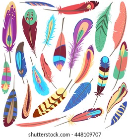 Set or collection of bird or flyer fluffy and colorful ornamental or decorative feather of american parrot or peacock that consists of vane and rachis, barb and afterfeather, hollow shaft and calamus