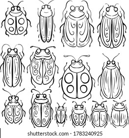 set collection of black and white vector image of insects