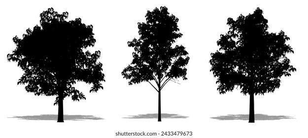 Set or collection of Blue Gum  trees as a black silhouette on white background. Concept or conceptual vector for nature, planet, ecology and conservation, strength, endurance and  beauty