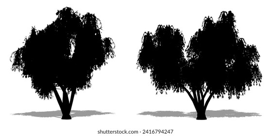 Colección de árboles de cepillo de botella como una silueta negra sobre fondo blanco. Concepto o vector conceptual para la naturaleza, el planeta, la ecología y la conservación, la fuerza, la resistencia y la belleza