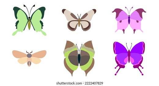 Set, collection of butterflies on a white background. Isolated cartoon icon set, decorative insect.