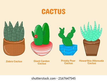 Set of collection cactus plant in a pot svg