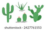Set, collection of Cactus plants isolated on white backgound. Cacti desert. Vector illustration