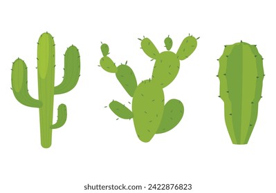 Set, collection of Cactus plants isolated on white backgound. Cacti desert. Vector illustration