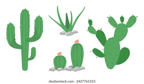 Vector Collection of Cactus - Graphicsfuel