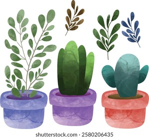 Set, collection of Cactus plants isolated on white backgound. Cacti desert. Vector illustration, Set of Cactuses icons isolated on white background, Realistic vector illustration isolated