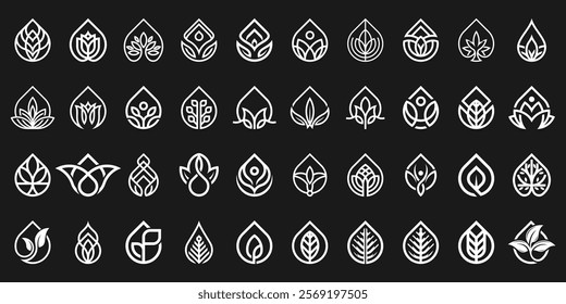 set of collection cannabis leaf flower green nature tree branch logo design, drops oil water symbol icon vector