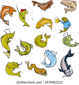 Set or collection of cartoon character mascot style illustration of trout, salmon, catfish, koi carp fish on isolated white background.