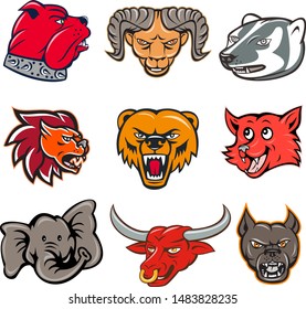 Set or collection of cartoon character mascot style illustration of head of animal wildlife like bulldog, ram, badger, lion, bear, fox, elephant, texas longhorn bull and pitbull dog white background.