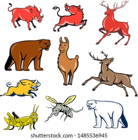 Set or collection of cartoon character mascot style illustration of wildilfe animals like wild boar, razorback, red deer, reindeer, llama, alpaca, bear, polar bear, grasshopper and mosquito isolated.