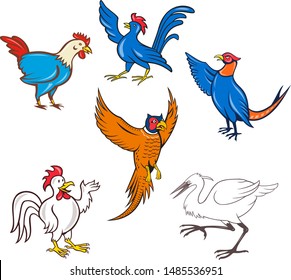 Set or collection of cartoon character mascot style illustration of fowl or bird such as chicken, cockerel, rooster, pheasant, crane or heron on isolated white background.