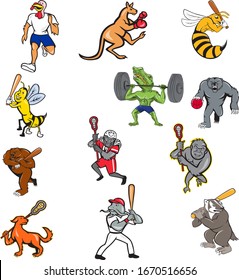 Set or collection of cartoon character mascot illustration of animals like turkey, kangaroo, wasp, bee, crocodile, alligator, bear, gorilla, badger, dog engage in sports full body isolated background.