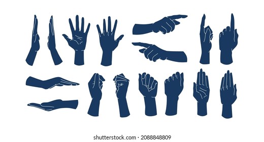 Set collection of cartoon hands. Different set positions. Angles, references clipart template. Wrist, palm. Vector illustration