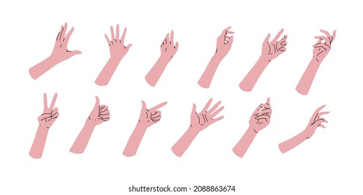 Set collection of cartoon hands. Different set positions. Angles, references clipart template. Wrist, palm. Vector illustration