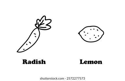 Set Collection Chart Food Vegetable Fruit 
Drawing Cartoon Doodle Sketch Illustration Hand Drawn Freehand 